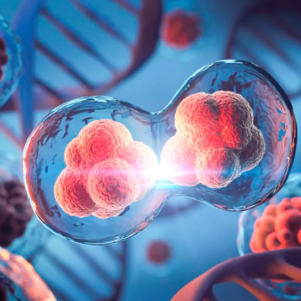 vigenius_dna_aplicaciones_02