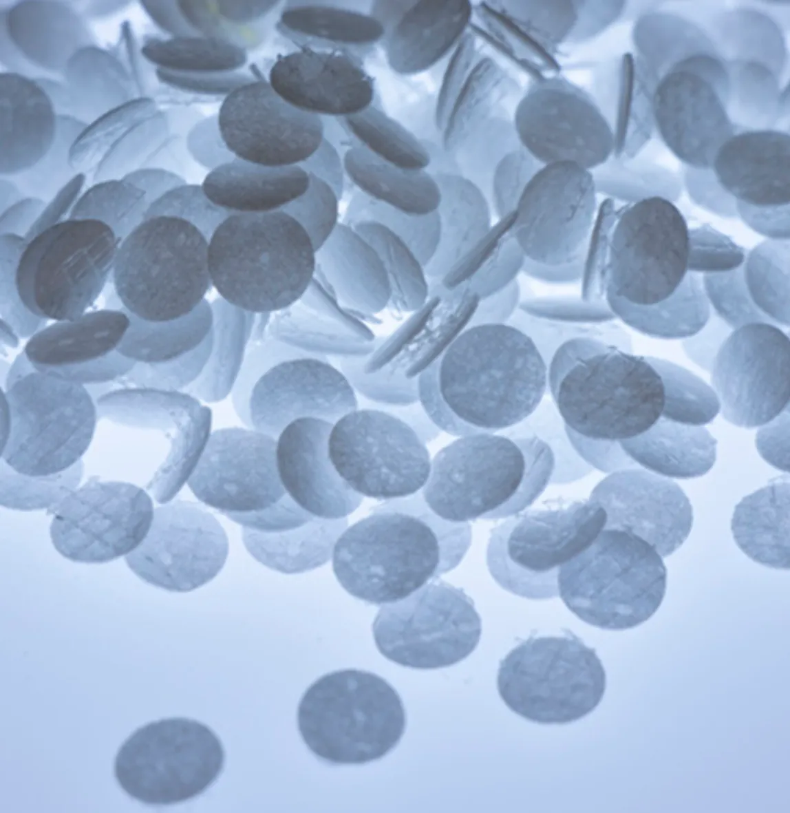 LeProlif™ Disk Lepure